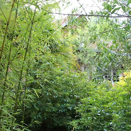 Vakantiehuis La Maison Carnot *